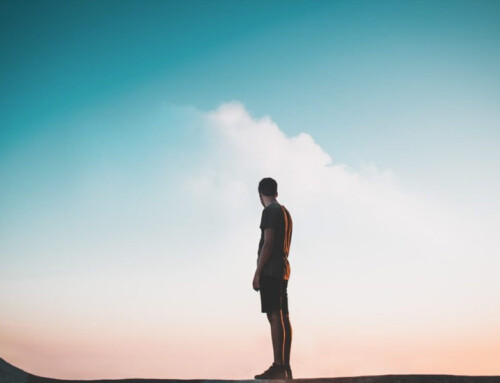The Mindful Pause
